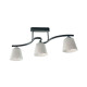 Светильник Айтин-Про НПБ 02-3*60-101 N3532/3 черный/хром