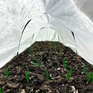 Парник Остров комфорта Стандарт 4 м