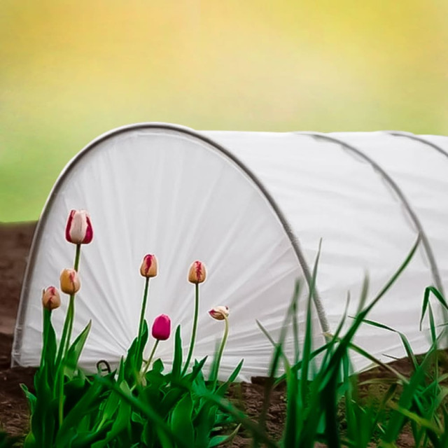 Парник Остров комфорта Стандарт 4 м