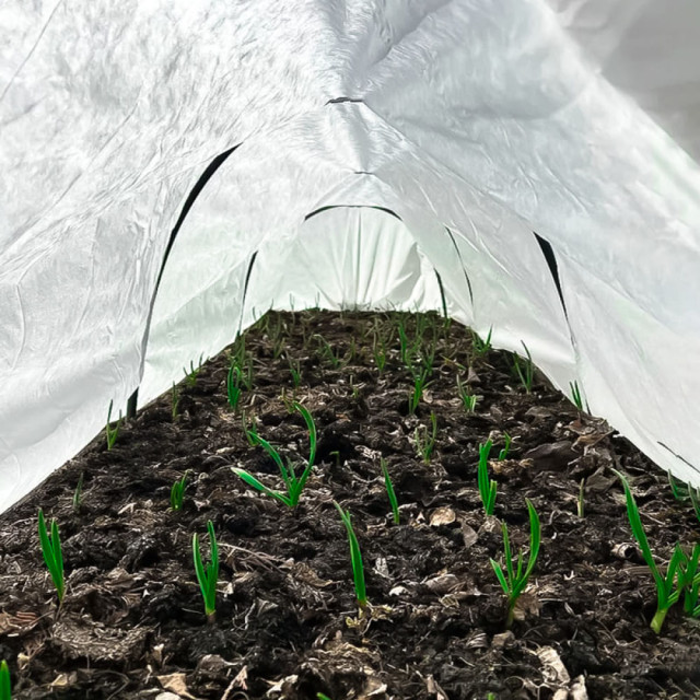 Парник Остров комфорта Стандарт 6 м