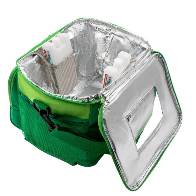 Сумка-холодильник Palisad Camping 69597 с двумя охлаждающими блоками 32*25*24 см