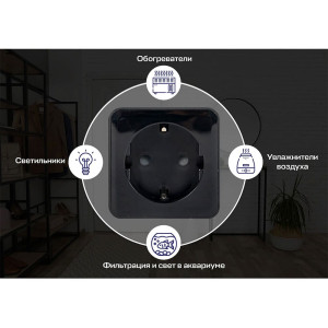 Умная розетка EKF Сonnect PRO RCS-2-WF Wi-Fi черная