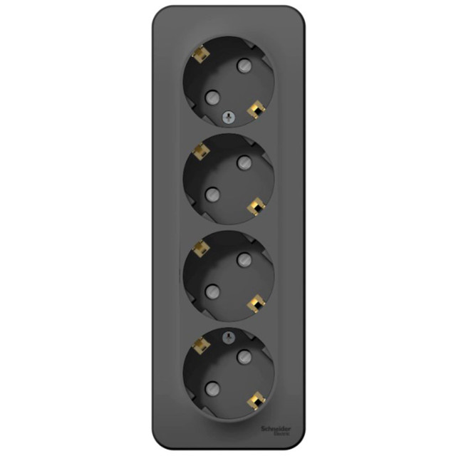 Розетка Schneider Electric Blanca BLNRA011416 4 места с заземлением со шторками антрацит