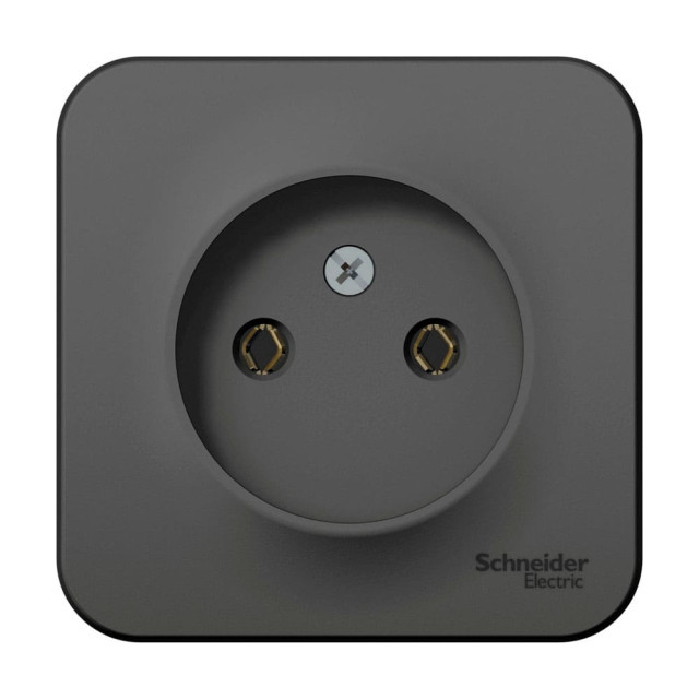 Розетка Schneider Electric Blanca BLNRA000116 без заземления антрацит