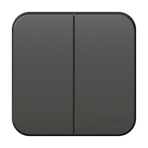 Выключатель Schneider Electric Blanca BLNVA105016 2 клавиши антрацит