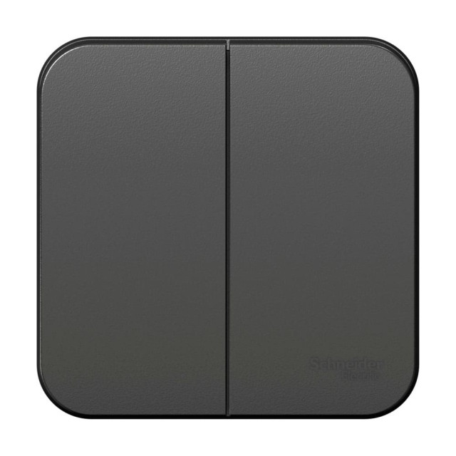 Выключатель Schneider Electric Blanca BLNVA105016 2 клавиши антрацит