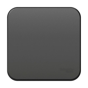 Выключатель Schneider Electric Blanca BLNVA101016 1 клавиша антрацит