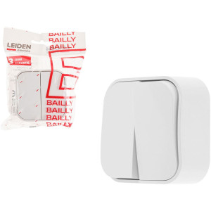 Выключатель Leiden Electric Bailly 806002 2 клавиши белый