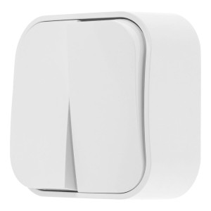 Выключатель Leiden Electric Bailly 806002 2 клавиши белый